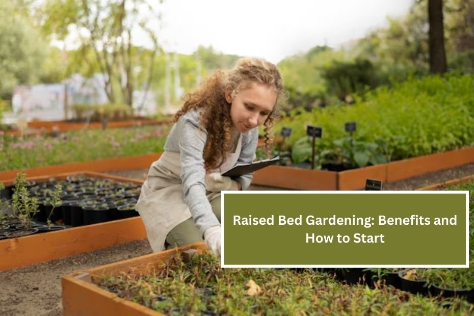 Raised Bed Gardening: Benefits and How to Start