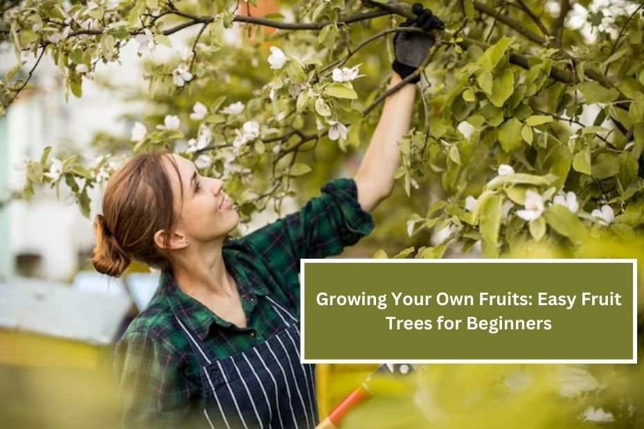 Growing Your Own Fruits: Easy Fruit Trees for Beginners