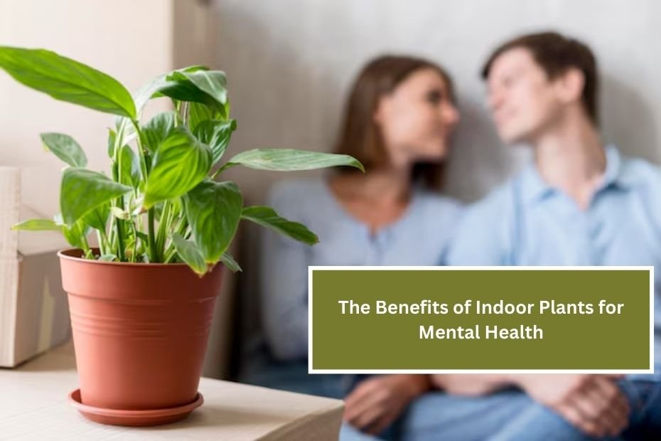 The Benefits of Indoor Plants for Mental Health