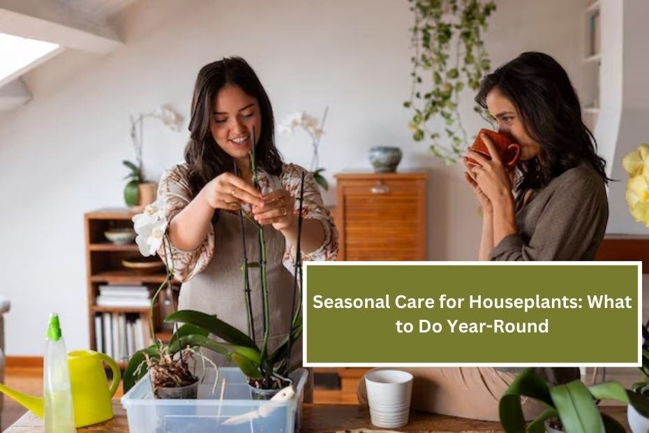 Seasonal Care for Houseplants: What to Do Year-Round