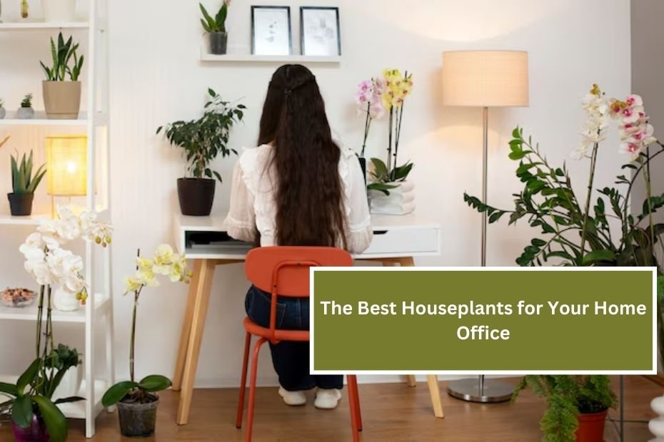 The Best Houseplants for Your Home Office