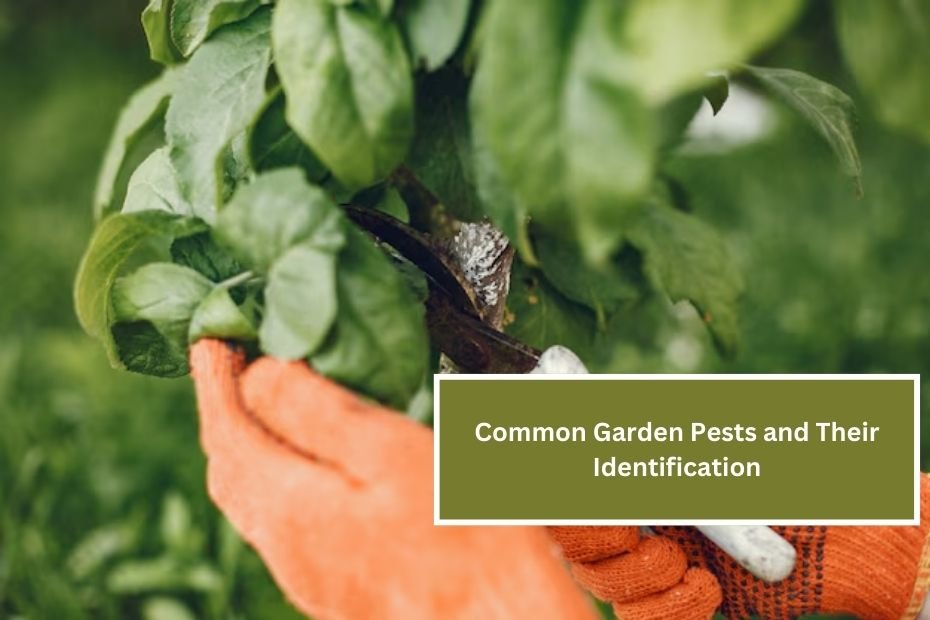 Common Garden Pests and Their Identification