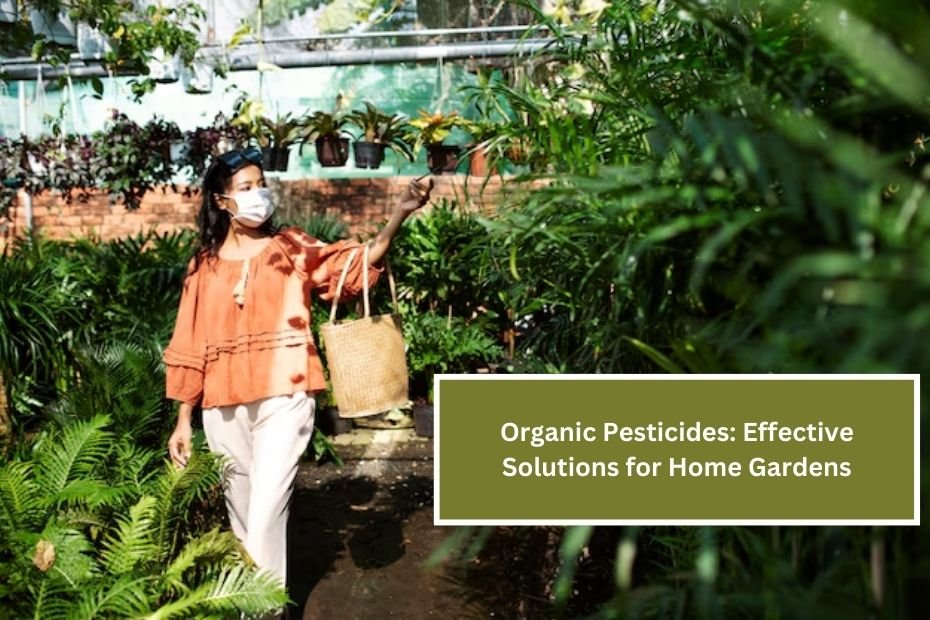 Organic Pesticides: Effective Solutions for Home Gardens