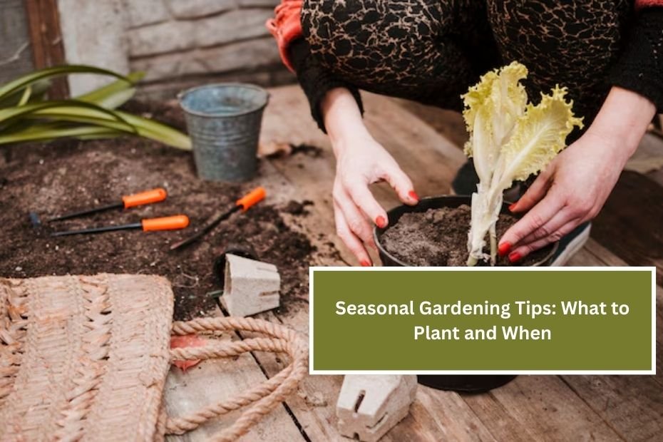 Seasonal Gardening Tips: What to Plant and When