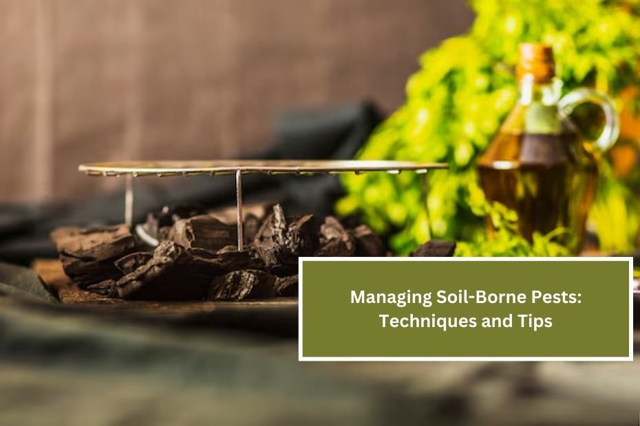 Managing Soil-Borne Pests: Techniques and Tips